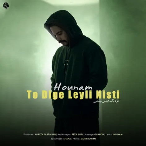 دانلود آهنگ هونام تو دیگه لیلی نیستی