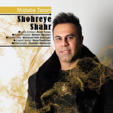 دانلود آهنگ مجتبی طزری شهره ی شهر