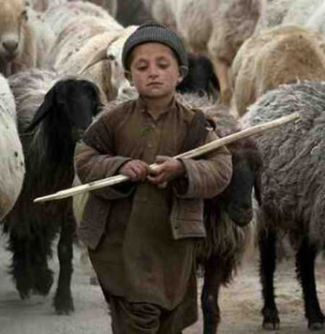 دانلود آهنگ چوپان تنها