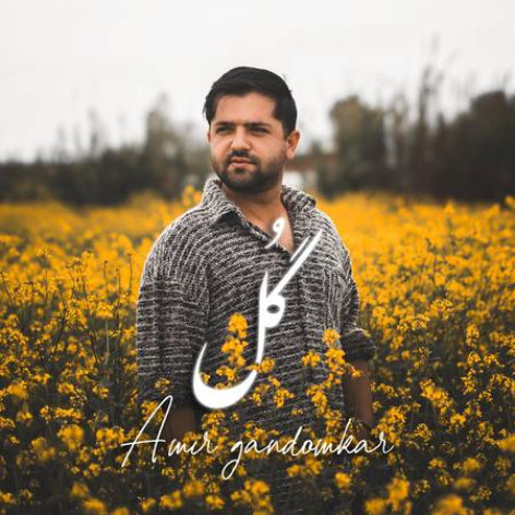 دانلود آهنگ امیر گندم کار گل