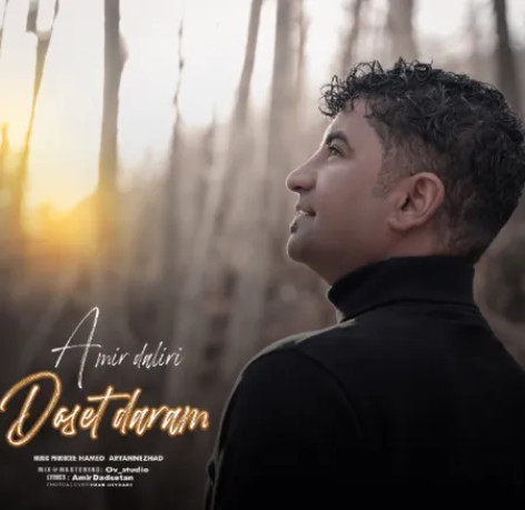 دانلود آهنگ امیر دلیری دوست دارم