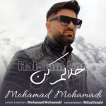 دانلود آهنگ محمد محمدی حلالم کن