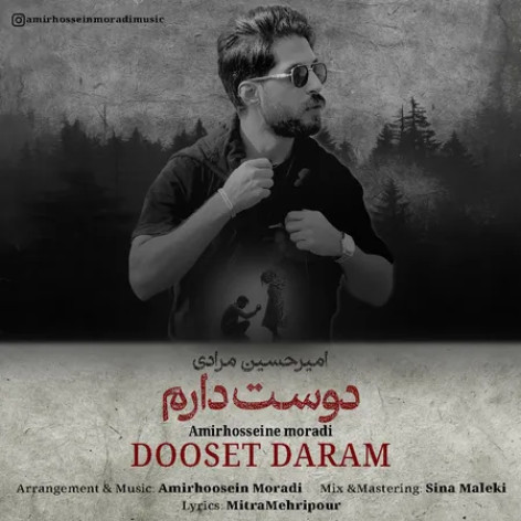 دانلود آهنگ امیرحسین مرادی دوست دارم