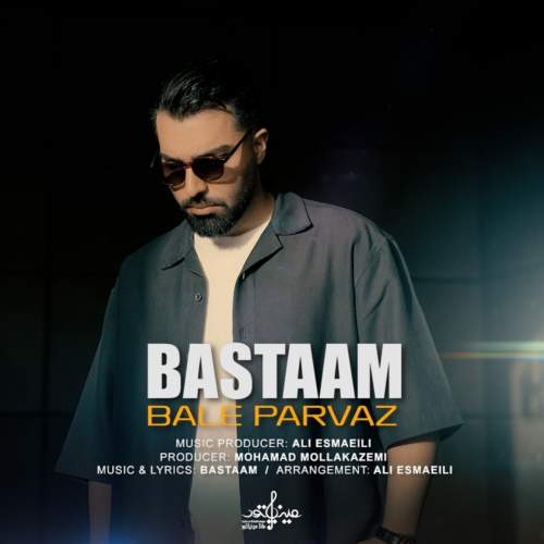 دانلود آهنگ بسطام بال پرواز دانلود آهنگ بسطام بال پرواز