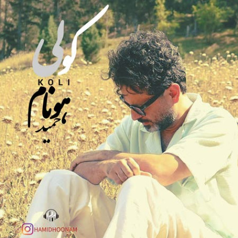دانلود آهنگ حمید هونام کولی