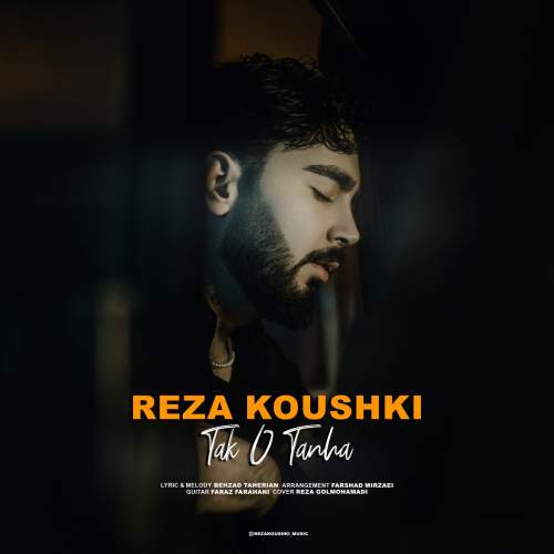 دانلود آهنگ ضا کوشکی تک و تنها