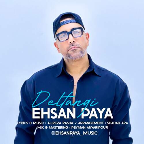 دانلود آهنگ احسان پایا دلتنگی