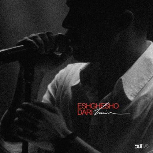 دانلود آهنگ حامیم عشقو داری