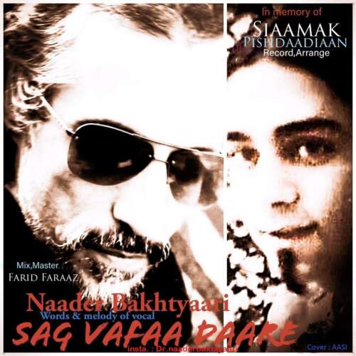 دانلود آهنگ نادر بختیاری سگ وفا داره