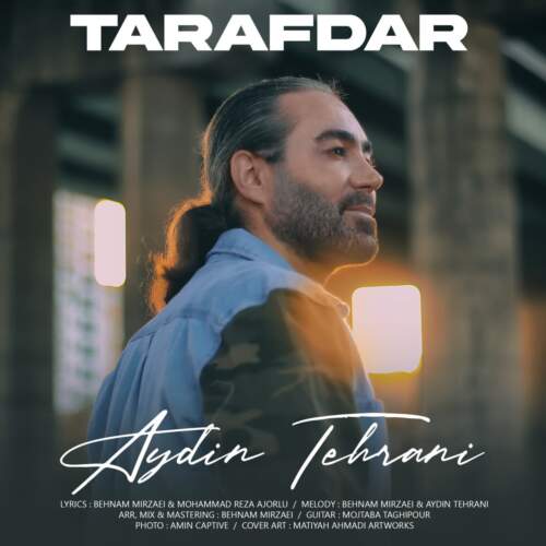 دانلود آهنگ آیدین تهرانی طرفدار