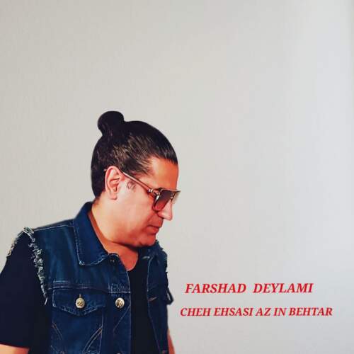 دانلود آهنگ فرشاد دیلمی چه احساسی از این بهتر