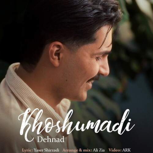 دانلود آهنگ بنام خوش اومدی با صدای دهناد